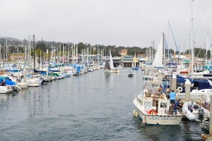 Monterey Wharf 2